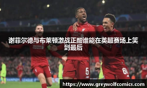 谢菲尔德与布莱顿激战正酣谁能在英超赛场上笑到最后